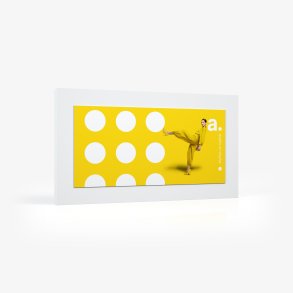 System Only - adFrame STFL 500 x 245 cm