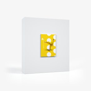 System Only - adFrame STFL B2 50x70