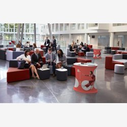 System Only - adTribune Oval