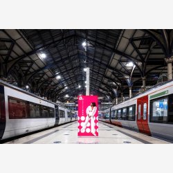 System Only - adFrame Quick Battery 85 x 200 cm